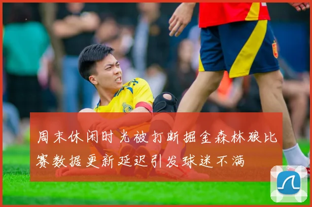 周末休闲时光被打断掘金森林狼比赛数据更新延迟引发球迷不满