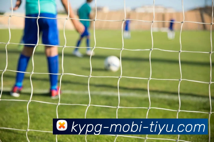 开元棋牌平台生态图